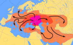 Dispersal of the Indo-European Sintasha tribes (Red) from the Eurasian steppes to Europe and South Asia (Orange). 4000 BCE to 1000 BCE